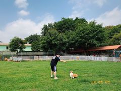 -良成狗狗乐园