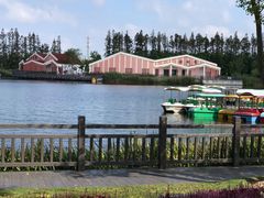 -上海长兴岛郊野公园