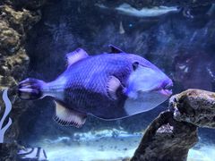 -南昌融创海世界