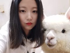 -猫色咖啡·猫咖