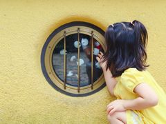 -三鹰之森吉卜力美术馆