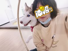 -Husky Go! 哈士奇体验馆·宠物咖啡厅狗咖