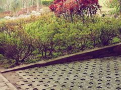 -胡里山炮台