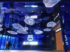 -盒马X会员店(上海森兰商都店)