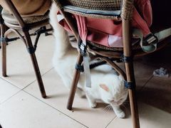 -嵊州特色小吃(萧山街店)