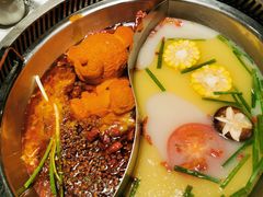 小熊鸳鸯锅-红辣椒·川菜·火锅(张杨路店)