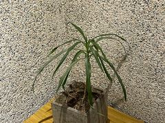 -时光花园(白鹭洲店)