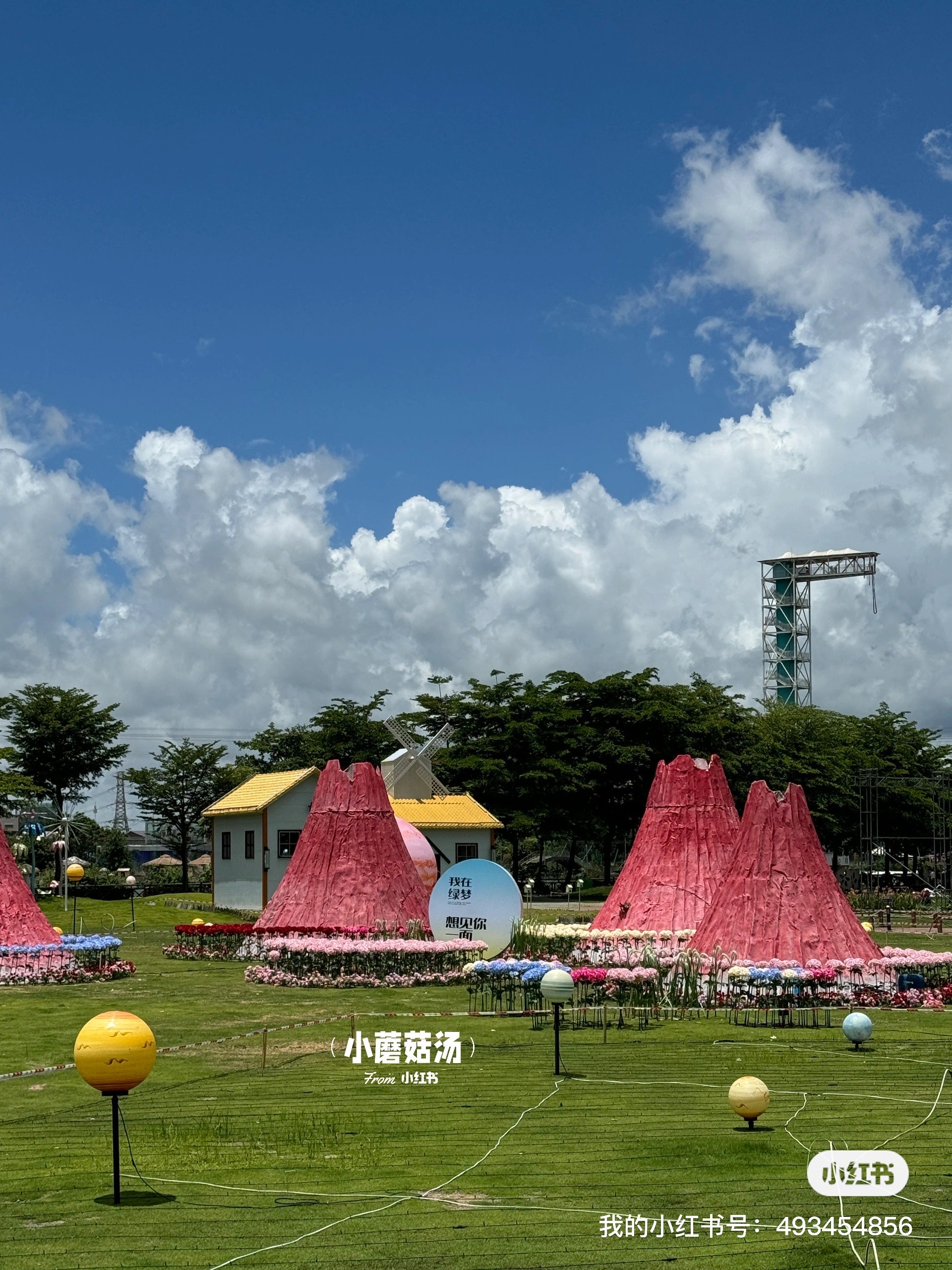 汕头绿梦湿地公园门票图片