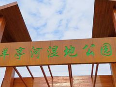 -羊亭河湿地公园