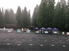 -东平国家森林公园