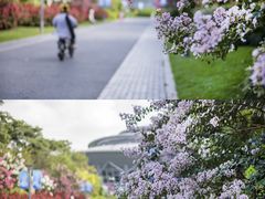 -杭州城北体育公园