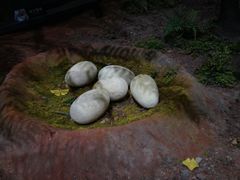 -湖南省地质博物馆