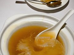 红烧大鲍翅-新同乐鱼翅酒家(美丽华店)