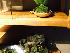 -微热山丘(台北民生公园门市店)