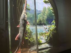-中国湿地博物馆