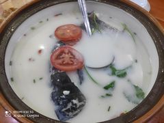 -全乐鱼馆·淳牌有机鱼直营店