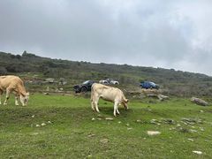 -范儿·嫂子烤肉·精致炭火烤肉(长治路店)