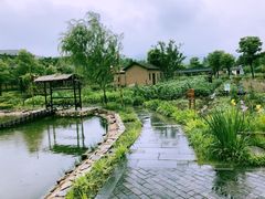-石塘人家