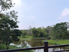 -东平国家森林公园