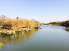 iphone_upload_pic-溱湖国家湿地公园