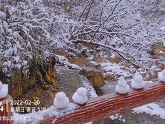 -西岭雪山大飞水景区