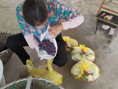 -马陆小张葡萄园农家乐