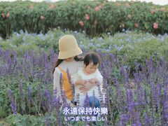 -光明小镇欢乐田园