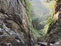 -云岫谷游猎自然风景区