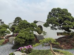 -陈村花卉小镇-花卉世界