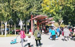 -大望京儿童游乐场