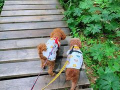 -白草畔自然风景区