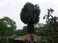 -Club Med地中海俱乐部·桂林度假村