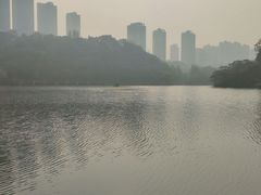 -重庆彩云湖湿地公园
