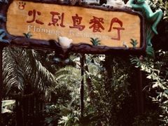 -海南热带野生动植物园