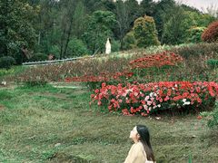 -铁山坪森林公园