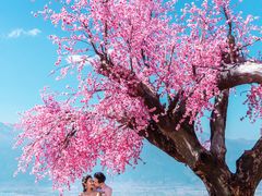 -爱我旅拍婚纱摄影(大理店)