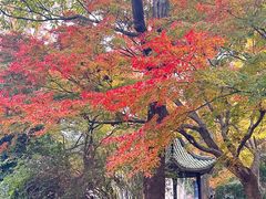 -苏州大学(天赐庄校区)