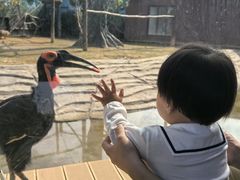 -杭州野生动物世界