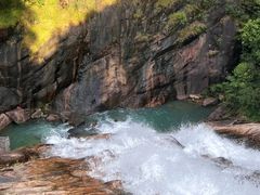 -广州白江湖森林公园