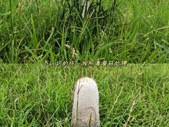 -大理洱海