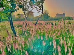 -汉长安城未央宫国家考古遗址公园