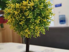 -首都医科大学附属北京天坛医院