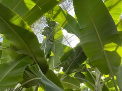 -国家植物园南园