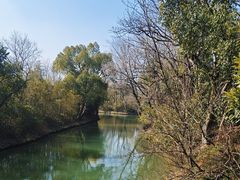 -西溪国家湿地公园