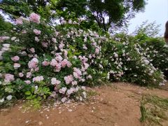 -贵阳市花溪国家城市湿地公园