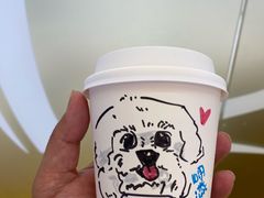 -翊宠yipet猫狗购宠庄园犬舍•猫舍