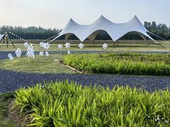 -汉长安城未央宫国家考古遗址公园