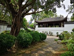 -九龙寨城公园