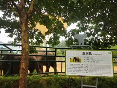 -秦皇岛野生动物园