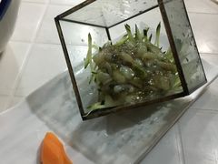 -散德行小酒馆